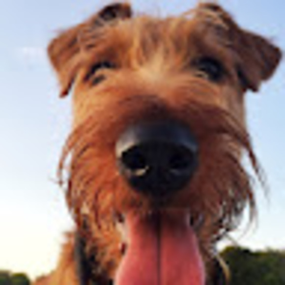 Meet your Posher, Kathryn - Picture 1 of 1